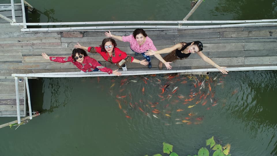 где сделать хорошие фотографии на рисовых полях в Таиланде