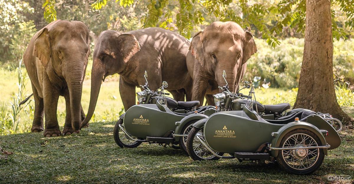 Экскурсии по Таиланду с русским гидом. Экспедиции из Бангкока и Паттайи