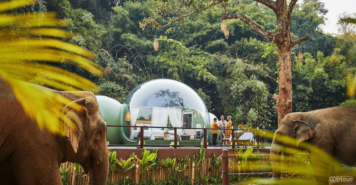 Экскурсии по Таиланду с русским гидом. Экспедиции из Бангкока и Паттайи