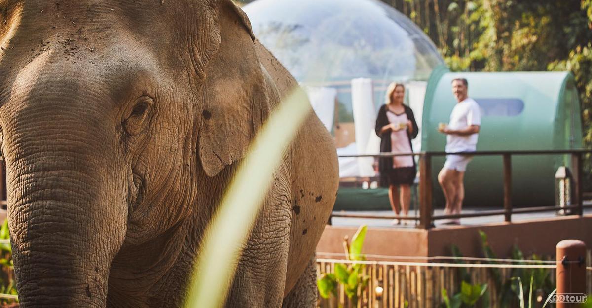 Экскурсии по Таиланду с русским гидом. Экспедиции из Бангкока и Паттайи