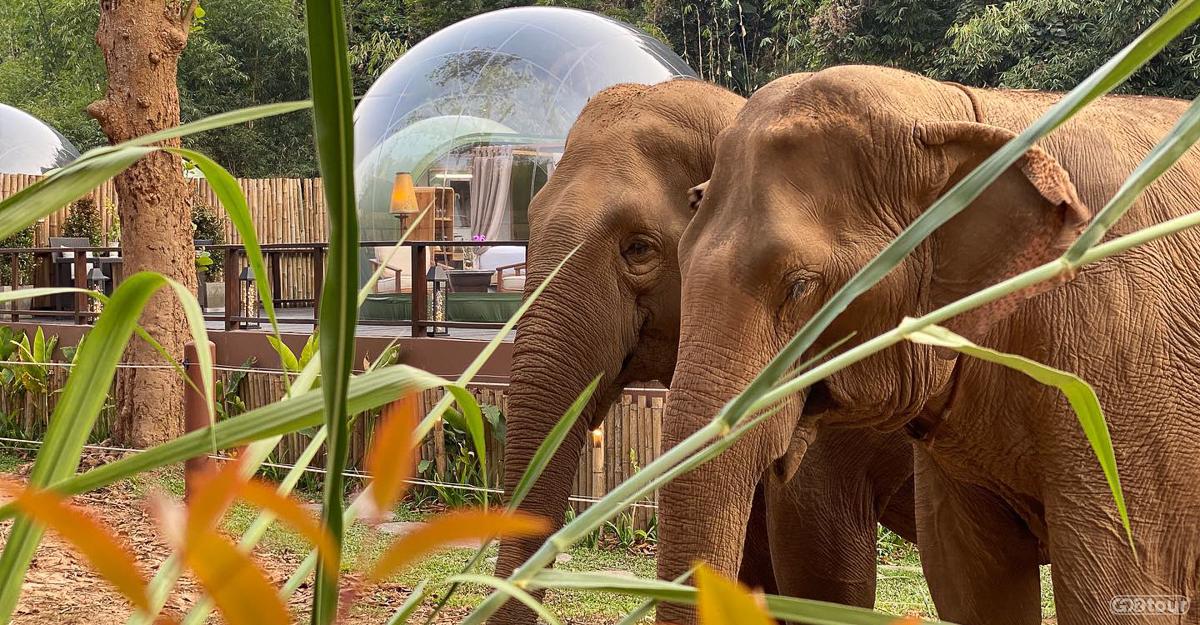 Экскурсии по Таиланду с русским гидом. Экспедиции из Бангкока и Паттайи