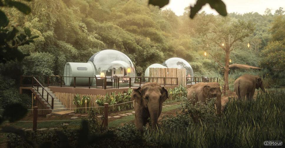 Экскурсии по Таиланду с русским гидом. Экспедиции из Бангкока и Паттайи