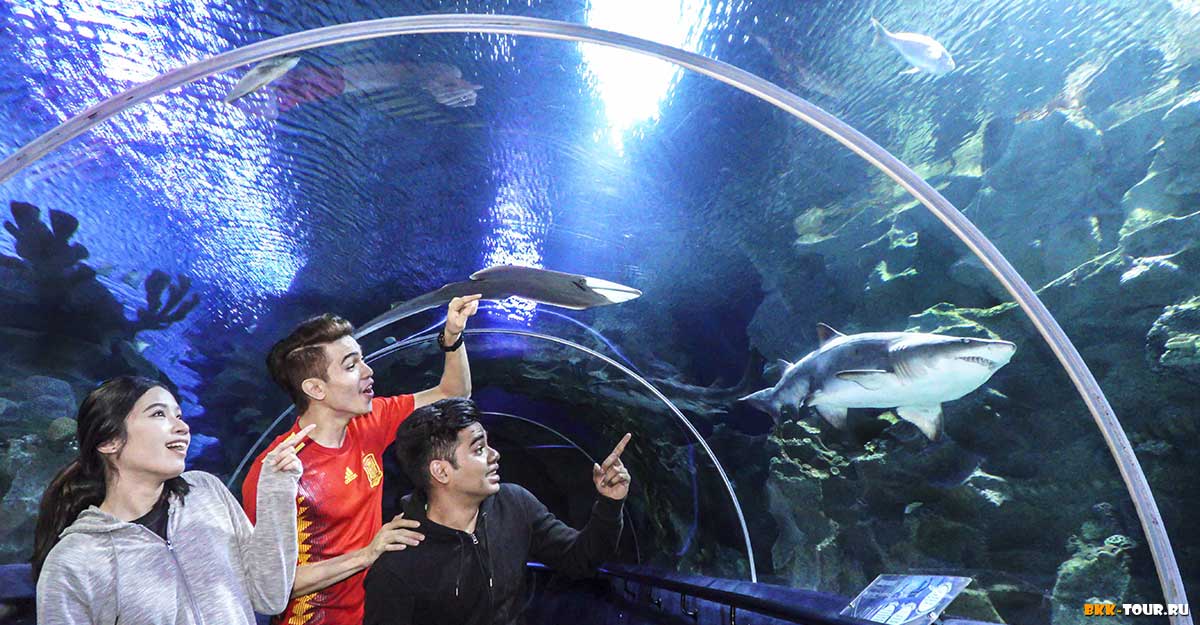 Экскурсии по Таиланду с русским гидом. Экспедиции из Бангкока и Паттайи. Русскоговорящий гид в Бангкоке