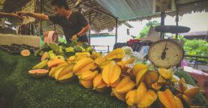 Карамбола — замечательный, полный витаминов экзотический фрукт, имеющий форму пятиконечной звезды в разрезе.