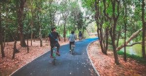 На велосипедах мы отправимся исследовать полуостров Банг Крачао