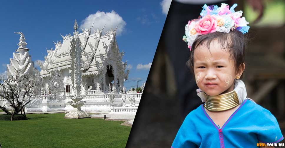 Однодневная экскурсия в Чианграй с посещением Белого храма и деревни племени длинношеих женщин