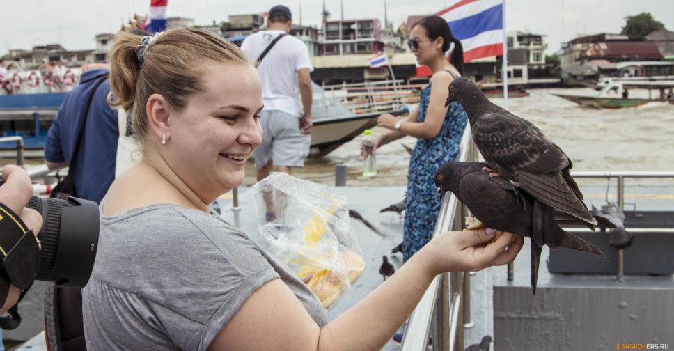 Кормим голубей в Храме Утренней Зари