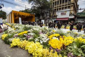 Цветочная аллея