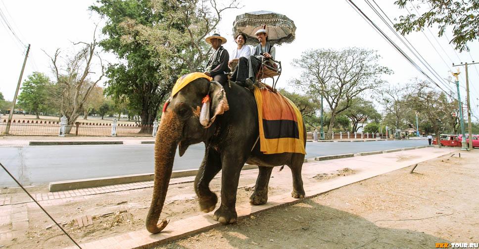 Деревня слонов в Аюттхайе