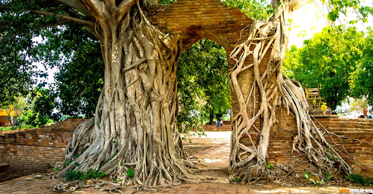 Wat Phra Ngam - ворота времени в Аюттхае. Таиланд
