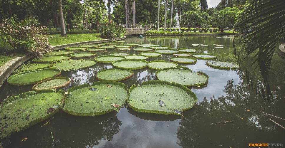 Парк Саранром