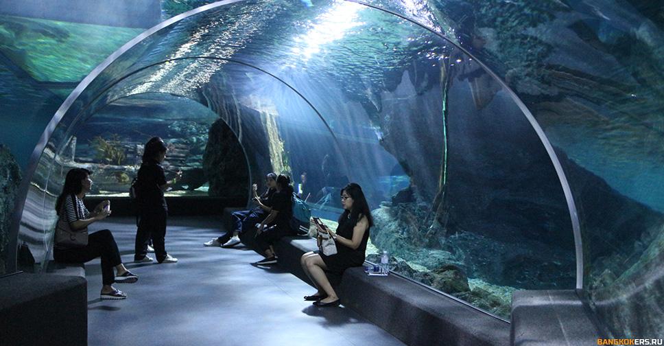 SEA LIFE БАНГКОКСКИЙ ОКЕАНАРИУМ