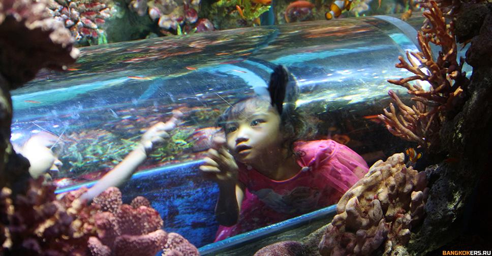 SEA LIFE БАНГКОКСКИЙ ОКЕАНАРИУМ