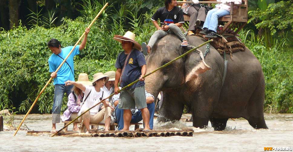 Сплав по реке на бамбуковых плотах