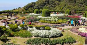 Экскурсии по Таиланду с русским гидом. Экспедиции из Бангкока и Паттайи. Русскоговорящий гид в Бангкоке. Авторская экскурсия Другой Бангкок