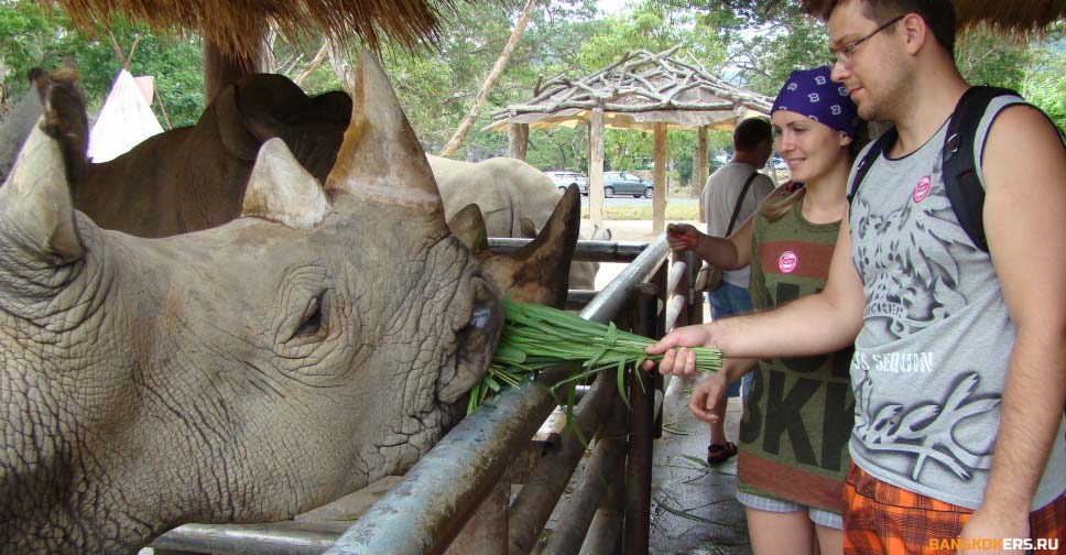 ЗООПАРК КХАО КХЕО