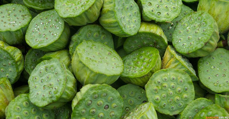 Лотос - род земноводных многолетних травянистых растений (семейство лотосовые)