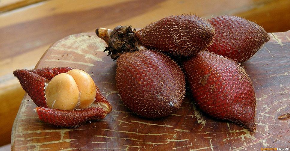 Салак - змеиный фрукт
