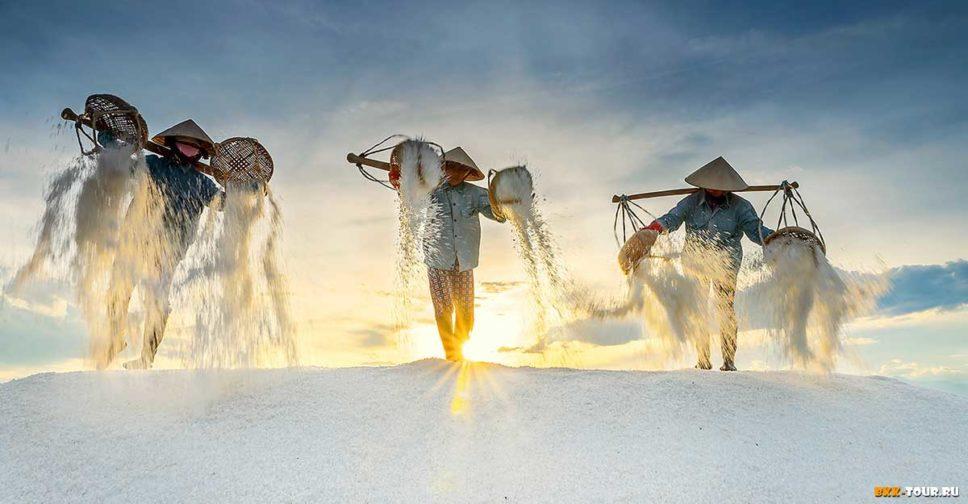 Как добраться на соляную ферму во Вьетнаме