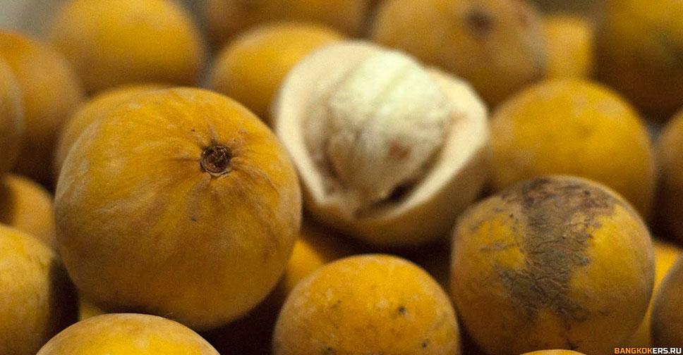 Сантол – это плодовое вечнозеленое дерево родом из Юго-Восточной Азии