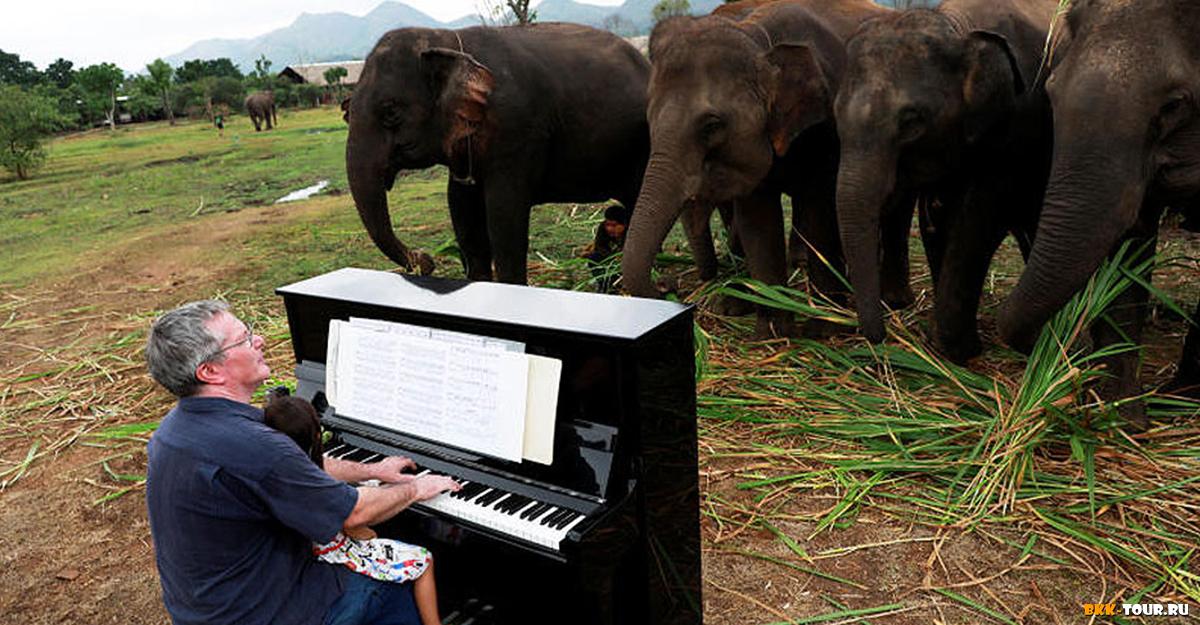 Экскурсии по Таиланду с русским гидом. Экспедиции из Бангкока и Паттайи. Русскоговорящий гид в Бангкоке